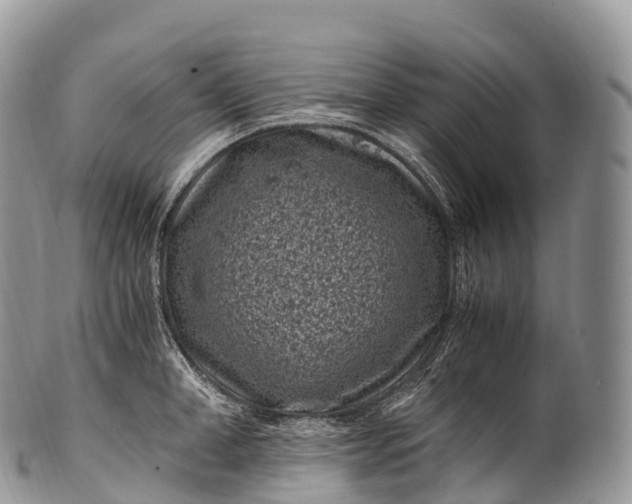 X0000100380998200806201646