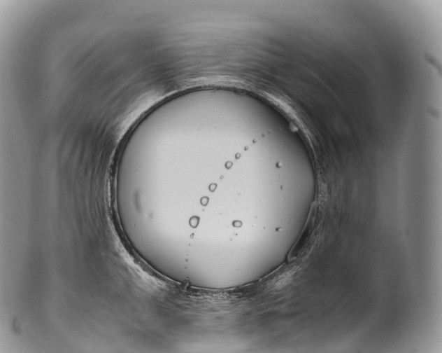 X0000100380999200806201646