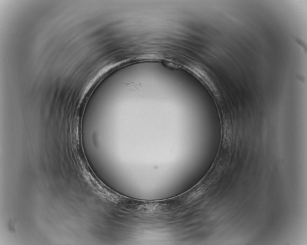 X0000100381000200806201646