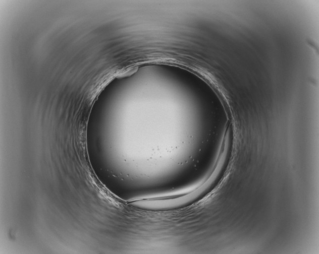 X0000100381001200806201646