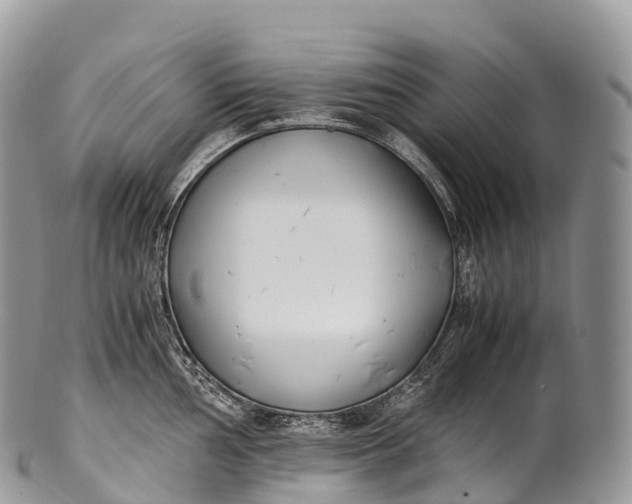 X0000100381002200806201646