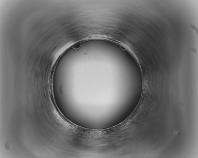 X0000100381003200806201646