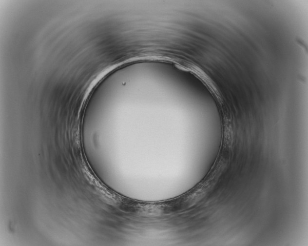 X0000100381004200806201646