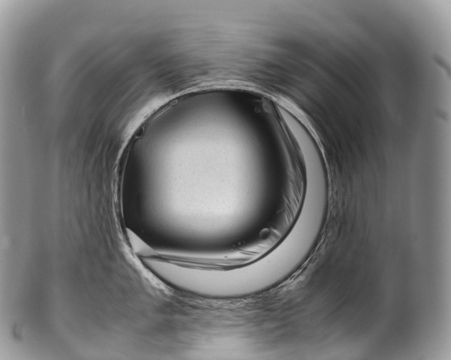 X0000100381005200806201646