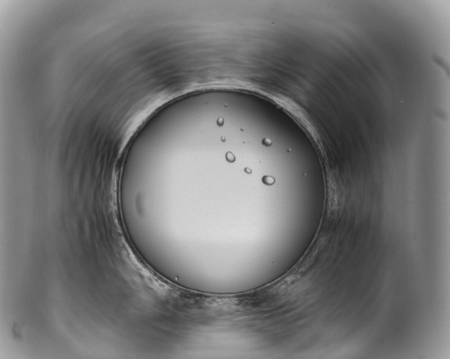 X0000100381006200806201646