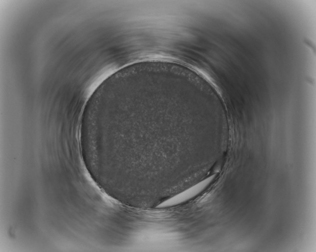 X0000100381007200806201646