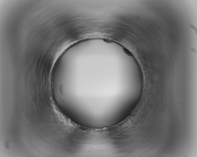 X0000100381008200806201646