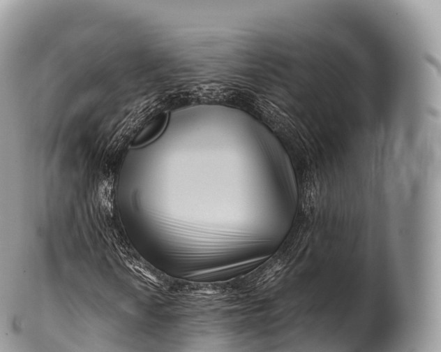 X0000100381010200806201645