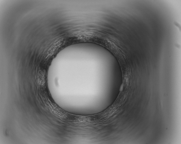 X0000100381012200806201645