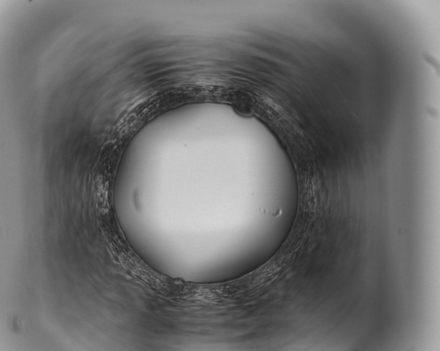 X0000100381013200806201645