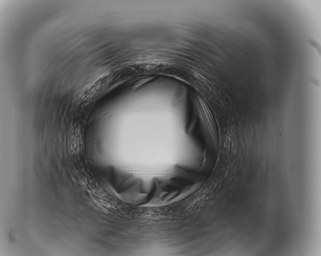 X0000100381014200806201645