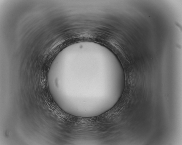 X0000100381015200806201645