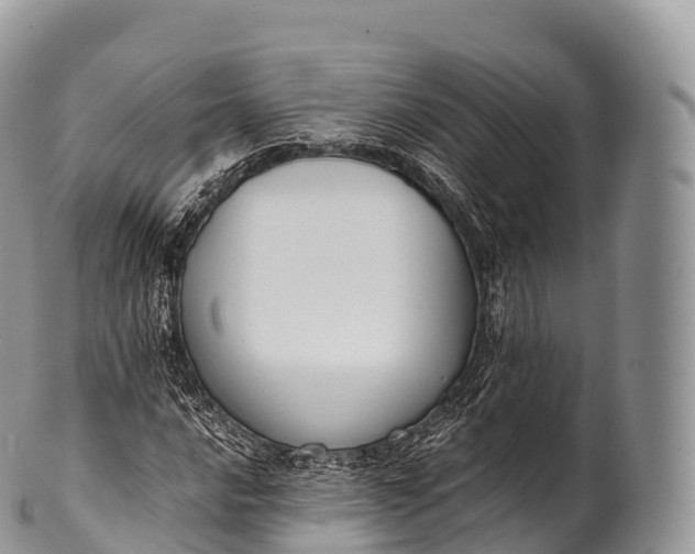 X0000100381016200806201645