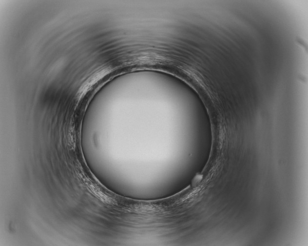 X0000100381018200806201645