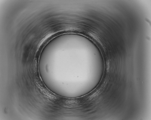 X0000100381021200806201645
