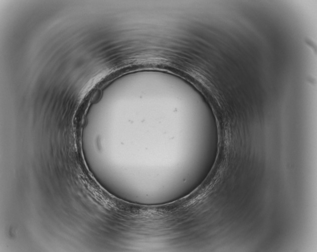 X0000100381022200806201645