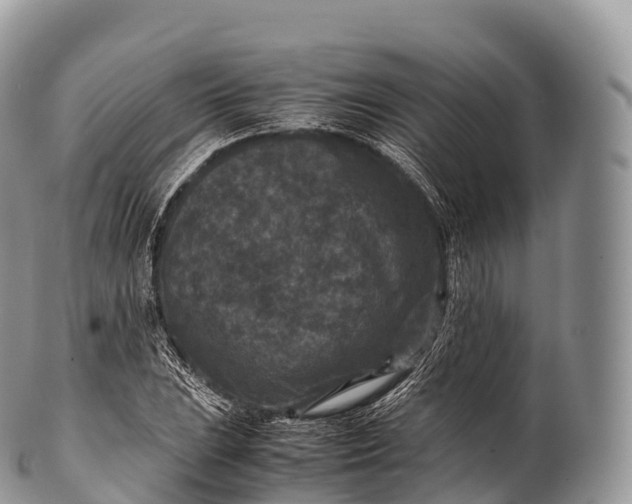 X0000100381023200806201645