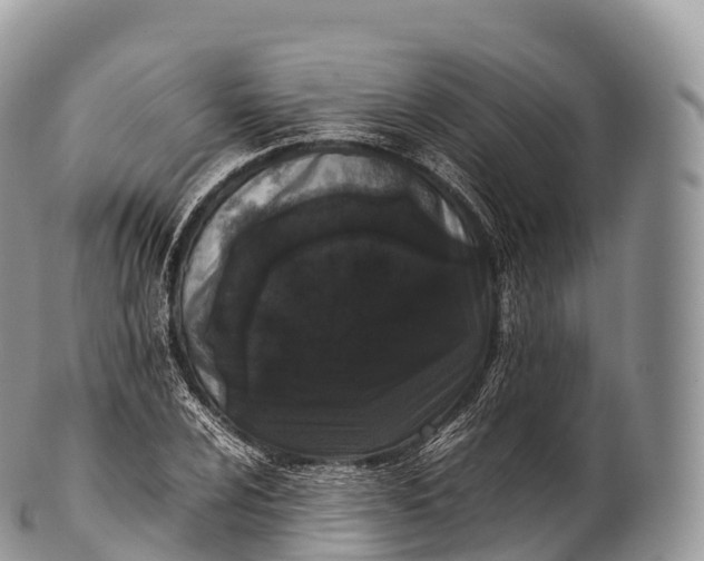 X0000100381024200806201645