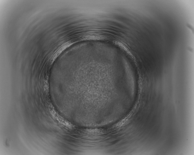 X0000100381025200806201645