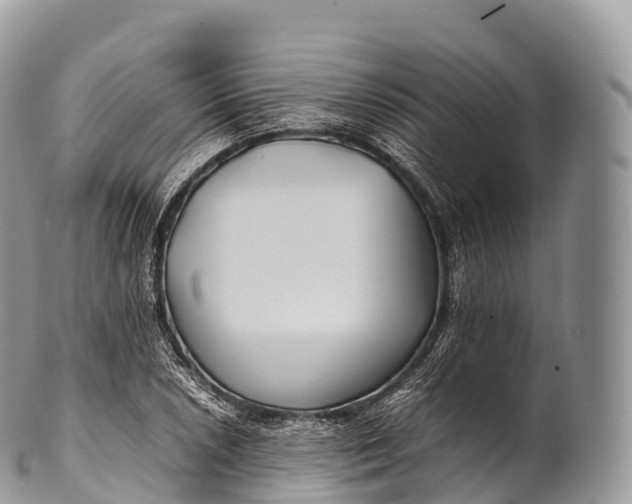 X0000100381026200806201645