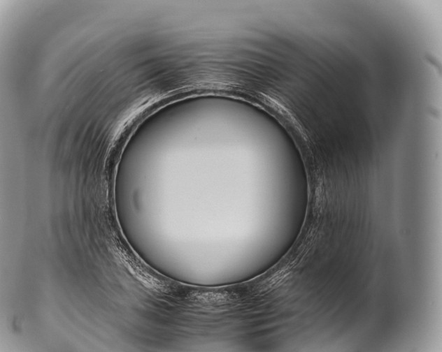X0000100381027200806201645