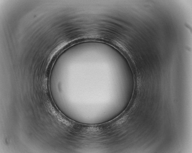 X0000100381029200806201645