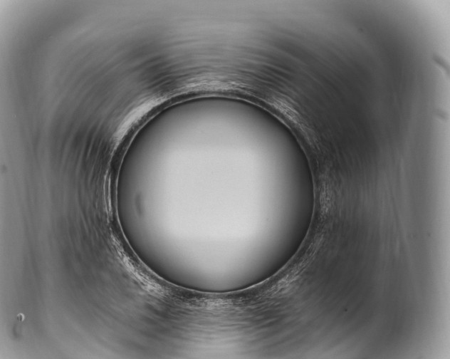 X0000100381030200806201645