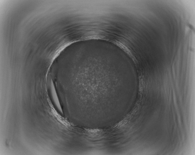 X0000100381031200806201645