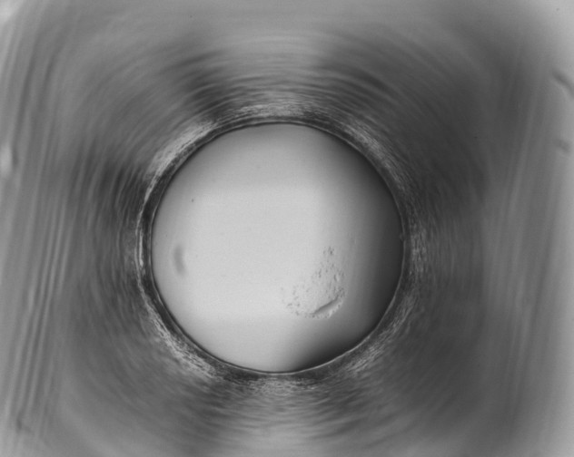 X0000100381034200806201645