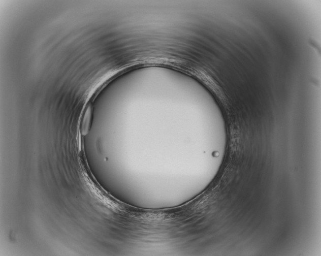 X0000100381036200806201646