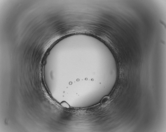 X0000100381038200806201646