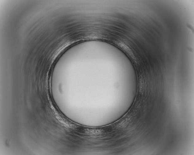 X0000100381039200806201646