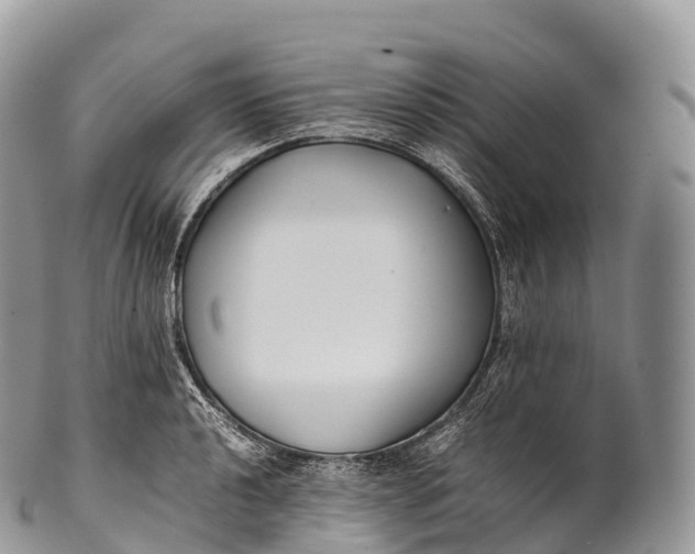 X0000100381040200806201646