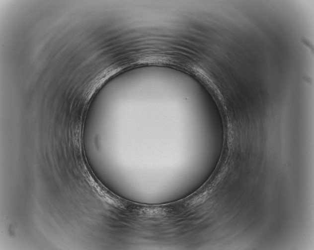 X0000100381041200806201646