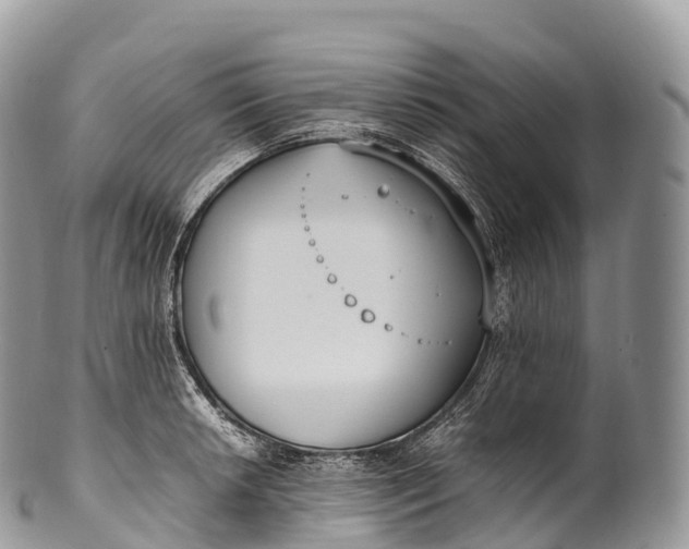 X0000100381042200806201646