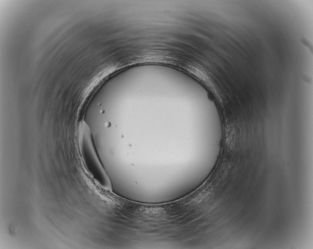 X0000100381043200806201646