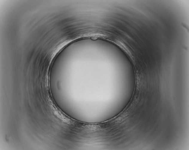 X0000100381044200806201646