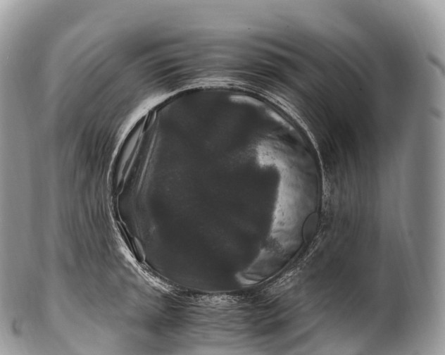 X0000100381045200806201646