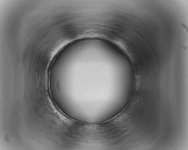 X0000100381046200806201646