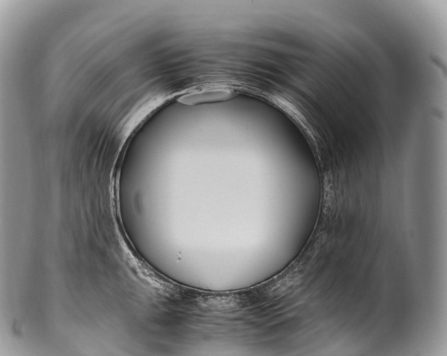 X0000100381047200806201646