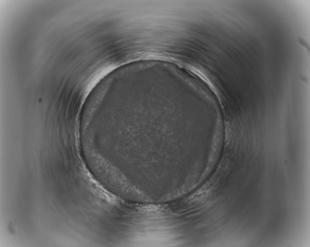 X0000100381048200806201646