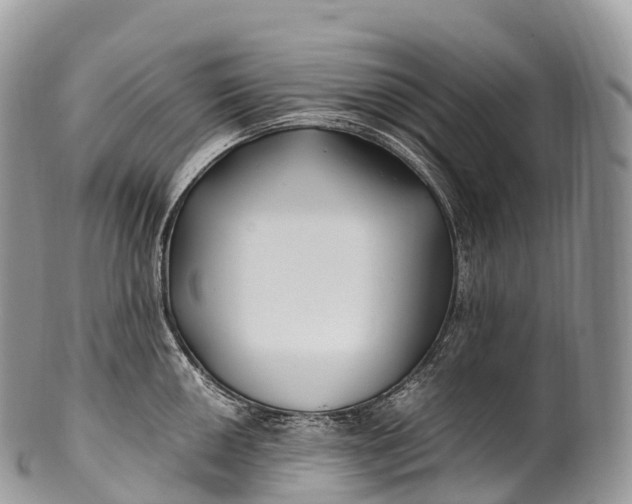 X0000100381050200806201646