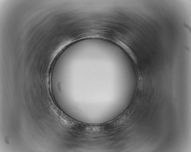 X0000100381051200806201646