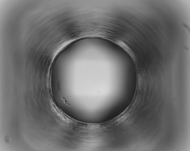 X0000100381052200806201646