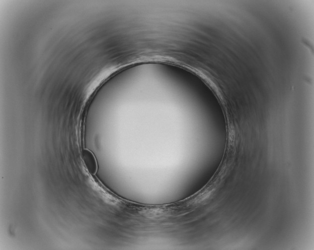 X0000100381054200806201646