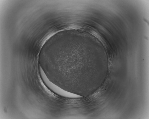 X0000100381055200806201646
