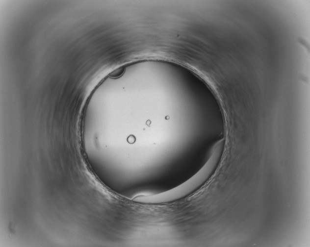 X0000100381056200806201646