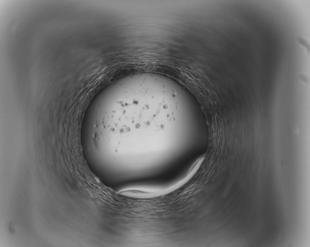 X0000100381057200806201645