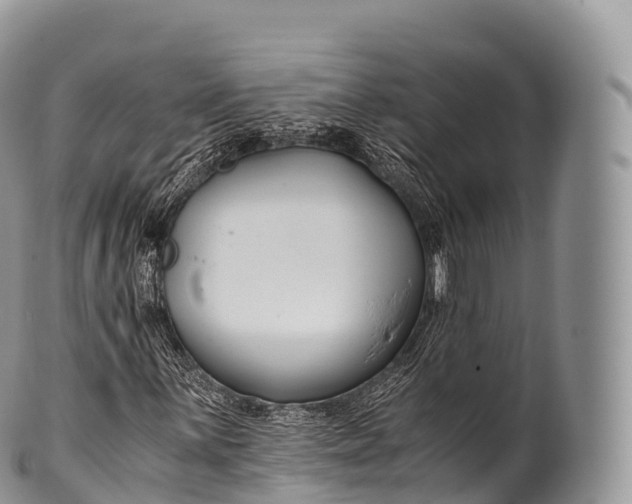 X0000100381059200806201645