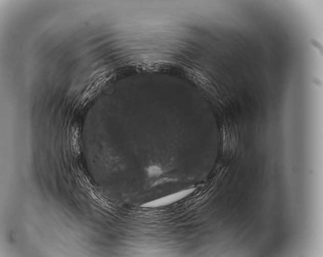 X0000100381060200806201645